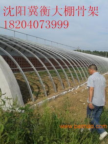 现代农业大棚建设指南 从塑料大棚到花卉温室的全解析
